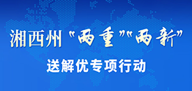 湘西州“两重”“两新”送解优专项行动